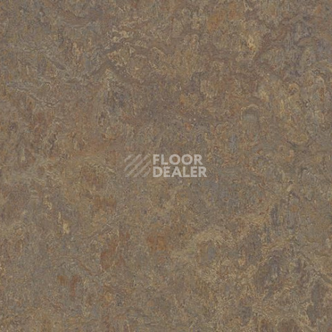 Линолеум Forbo Marmoleum Marbled Vivace 3426-342635 cork tree фото 1 | FLOORDEALER